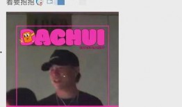 刘大锤正式爆料视频播放,揭秘视频播放背后的惊人真相