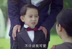 后妈爆料儿子视频播放,儿子视频播放背后的惊人真相