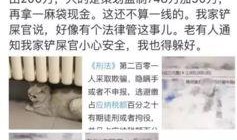 最新爆料偷税漏税案例,最新偷税漏税案例引发行业地震