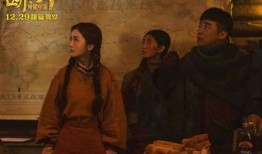 险途夺宝在线观看,惊心动魄的寻宝之旅