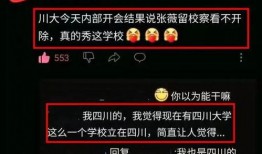 四川大学最新爆料消息,揭秘校园热点事件背后的真相