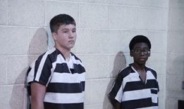 少年罪犯在线观看,揭秘少年罪犯的在线世界