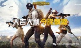 吃鸡跨年爆料视频大全,揭秘游戏新篇章与精彩瞬间