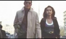 追捕老版在线观看,重温追捕老版经典瞬间