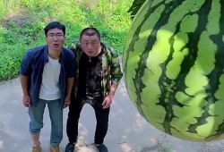 免费的吃瓜群在哪里找到,轻松加入畅享娱乐资讯的秘籍