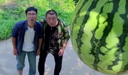 免费的吃瓜群在哪里找到,轻松加入畅享娱乐资讯的秘籍