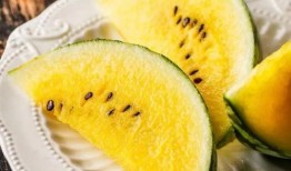 满甜吃瓜全集免费观看,全集免费观看，揭秘娱乐圈幕后风云