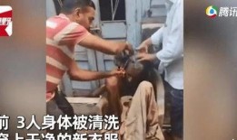 爆料囚禁学生视频大全,视频大全曝光惊人内幕