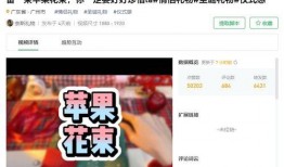 爆料大鹅解说视频网易版,揭秘游戏幕后故事与精彩瞬间