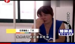 爆料法国刘哥视频大全,视频大全背后的故事与真相