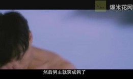 鸭王视频在线观看国语,沉浸式体验，尽享国语视听盛宴