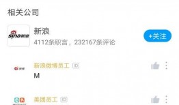 新浪网裁员最新爆料,最新爆料揭露裁员真相”