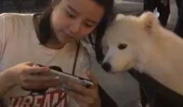 晚安姐姐紫狗技能爆料视频,全新互动玩法来袭！