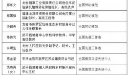 盲盒15级最新爆料,潮流玩具界的神秘面纱