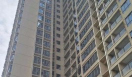 深圳回迁房爆料信息网最新,揭秘价格走势与政策调整