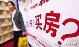 合肥报复性爆料案件最新,真相与反思的交织