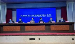 石家庄陈村新闻最新爆料,揭秘石家庄陈村重大事件真相