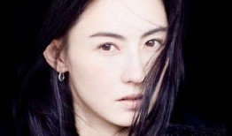 张柏芝最新爆料,娱乐圈背后的惊人真相