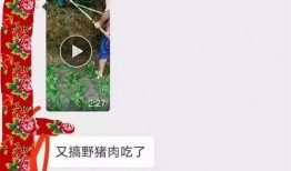 猪肉爆料视频播放下载免费