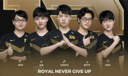 白鲨主播爆料视频大全,揭秘幕后真相与精彩瞬间