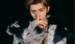 张翰爆料蔡徐坤视频合集,视频合集大揭秘