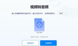 爆料视频格式要求,爆料视频背后的真相与内幕