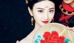 大唐荣耀土豆在线观看,重温盛世传奇！