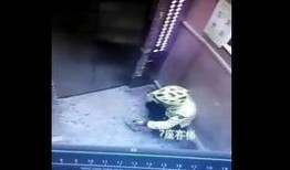 美团视频爆料,揭秘外卖行业幕后真相
