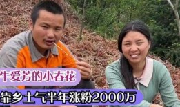 农村宝军邻居爆料视频,揭秘真实生活点滴