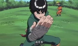 拳道李洛克爆料视频,独家爆料背后的精彩瞬间