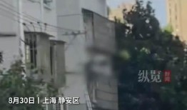 静安小区爆料视频播放大全,揭秘社区生活点滴