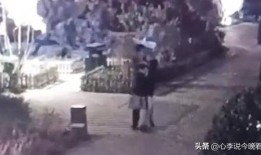 老街最新爆料视频播放,揭秘视频中的历史角落与生活变迁