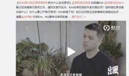 柴森前妻爆料新闻,揭秘婚姻内幕与惊人真相