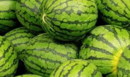 内蒙古网红吃瓜视频,揭秘草原上的“瓜界风云”