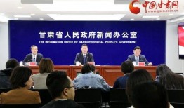 甘肃爆料天水新闻视频,揭秘爆料视频背后的真相