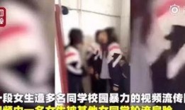 王先生爆料女孩视频大全,女孩视频大全揭秘