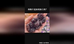 西梅加工爆料视频
