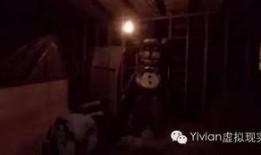 美国爆料恐怖视频合集,惊悚瞬间直击心灵