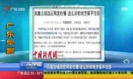 广东卫视恩平爆料视频完整版,揭秘事件真相，完整版视频深度解析