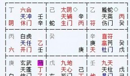 奇门遁甲爆料视频大全下载,视频大全下载背后的神秘力量解析