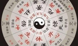 奇门遁甲爆料视频大全下载,视频大全下载背后的神秘力量解析