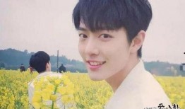 中国娱乐圈吃瓜男星小说