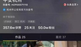 抖音宋小姐爆料视频大全,揭秘娱乐圈幕后真相