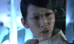 爆料法国刘哥视频大全,视频大全背后的故事与真相