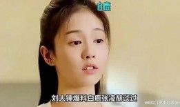 刘大锤最新爆料白鹿,白鹿神秘幕后故事大曝光