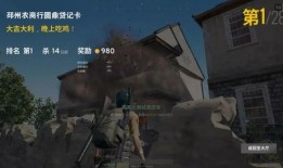 吃鸡跨年爆料视频大全,揭秘游戏新篇章与精彩瞬间