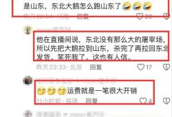 爆料大鹅解说视频网易版,揭秘游戏幕后故事与精彩瞬间