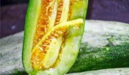 吃瓜各网红比谁的大,网红们比拼身材，究竟谁才是‘瓜王？”