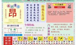 澳门最新爆料快报网址,揭秘热点事件，追踪最新动态