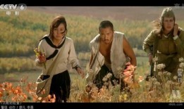 紫日电影在线观看,穿越时光的青春记忆